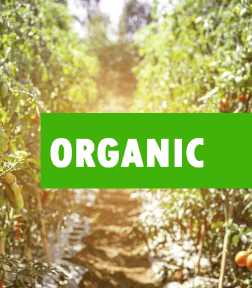 organic-export